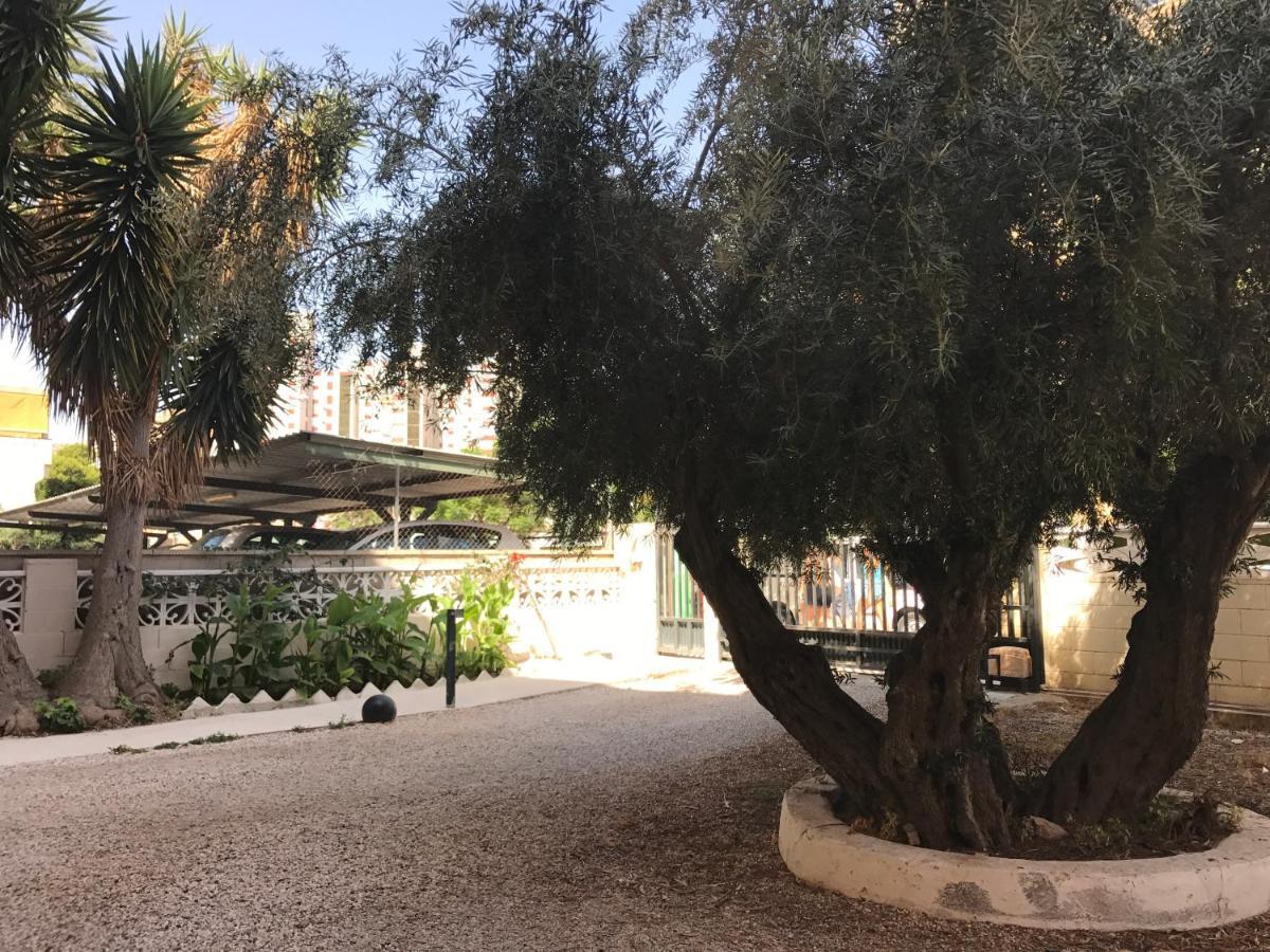 Apartamento En La Playa - Alicante, Costa Blanca - Los Olivos 外观 照片