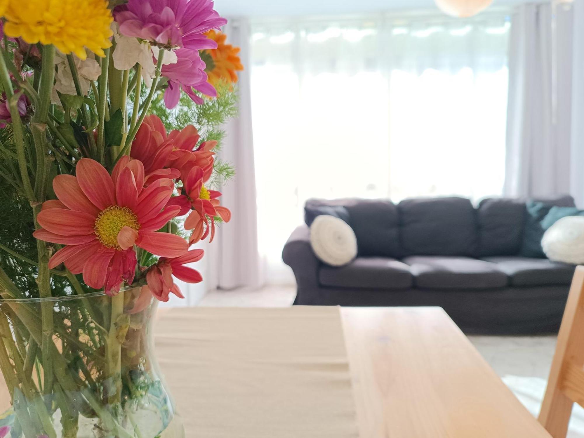 Apartamento En La Playa - Alicante, Costa Blanca - Los Olivos 外观 照片